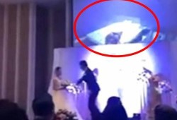 福建新郎爆料视频最新版,婚礼现场惊人一幕！
